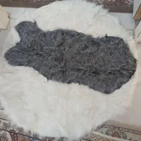 فرشینه خز گرد