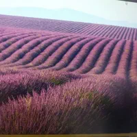 کمک حسابدار مدرس گرافیک کامپیوتر مشاور تحصیلی