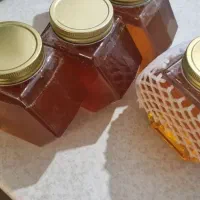 عسل بکر کوهی شیراز