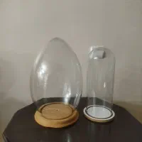 باکس گل و عروسک