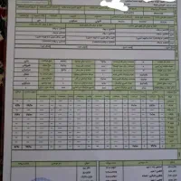 فروش زمین|فروش زمین و ملک کلنگی|کومله, |دیوار