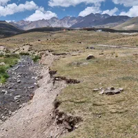 کارگر قصابی