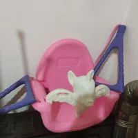 تاب|اسباب و اثاث بچه|نورآباد, |دیوار