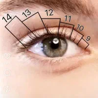 مدل برای موژه