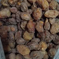 فروش آلو خرشتی خوانساری درجه یک خانگی