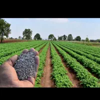 کود ۱۲ کاره کشاورزی + مناسب پسته، و محصولات زراعی
