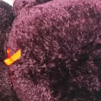 خرس عروسکی خوشگل نو|اسباب‌‌بازی|اصفهان, خواجو|دیوار