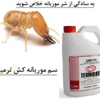 سم پاشی موریانه زدایی|خدمات نظافت|اصفهان, نقش جهان|دیوار