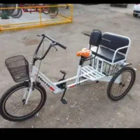 سه چرخه های دونفره