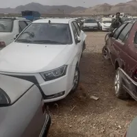 دنا معمولی تیپ ۲، مدل ۱۳۹۶