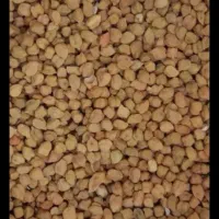نخود قرمز