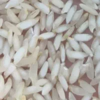 برنج عنبربواهوازی