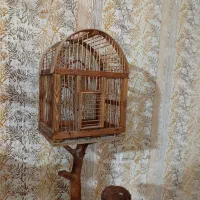 لانه عروس هلندی