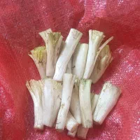 کنگر پاک کرده