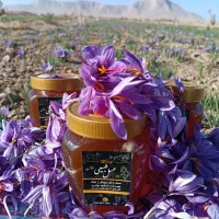 عسل زعفران صد درصد طبیعی|خوردنی و آشامیدنی|تهران, توحید|دیوار