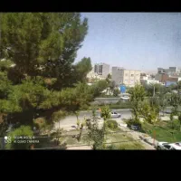 همخونه میخام