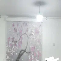 پرده زبرا درحدنو