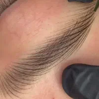 خدمات میکروبلیدینگ و میکروپیگمنتیشن|خدمات آرایشگری و زیبایی|اصفهان, ملک|دیوار