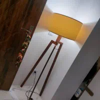 آباژور ایستاده