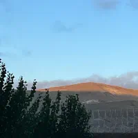 مشاوره