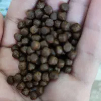 غذای ماهی