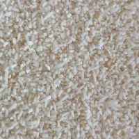 برنج لاشه هاشمی|خوردنی و آشامیدنی|کوچصفهان, |دیوار