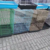 کلکسیون قفس های پرنده|لوازم جانبی حیوانات|تربت‌حیدریه, شهید قرنی|دیوار