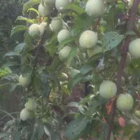 فروش ۴۵۰۰ متری