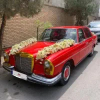 اجاره ی انواع ماشین عروس،کلاسیک باراننده خانم وآقا|خودرو اجارهای|مشهد, وکیلآباد|دیوار