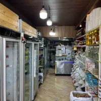 لبنیاتی-فعال