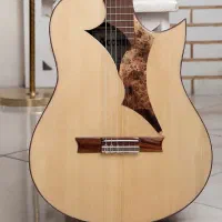 گیتار حرفه ای تمام چوب