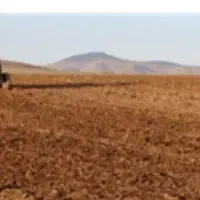 فروش یهکتار  زمین دیم در روستایی کشک اباد