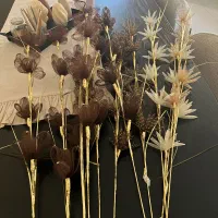 گلهای تزیینی