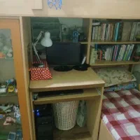 تخت خواب دو طبقه|تخت و سرویس خواب|قرچک, شهرک طلائیه|دیوار