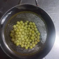 البینو|خزنده|کرمان, |دیوار