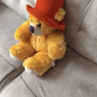 عروسک پولیشی