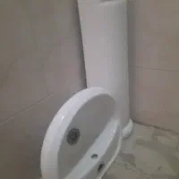 روشوی کارکرده در حد