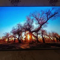 تلویزیون50اینچ TCL