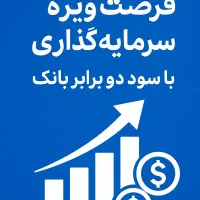سرمایه گذاری با سود دو برابر بانکی