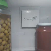 یخچال تک بکوترک اصلی|یخچال و فریزر|مشهد, بهاران|دیوار
