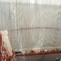 دار قالی وان یکاد