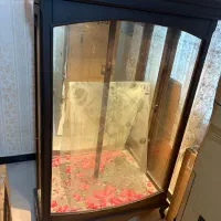 فروش بوفه سالم