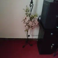 آباژور