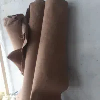 موکت