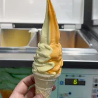 ثعلب حرفه ای بستنی قیفی|کافی‌شاپ و رستوران|اهواز, کیانپارس |دیوار