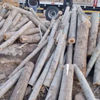 خرید و فروش انواع چوب و یونجه