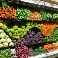 شریک و شراکت در میوه فروشی فعال