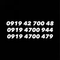 0919-4700-479