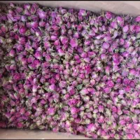 چای مراکشی
