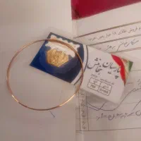 النگو طلا و سکه پارسیان
